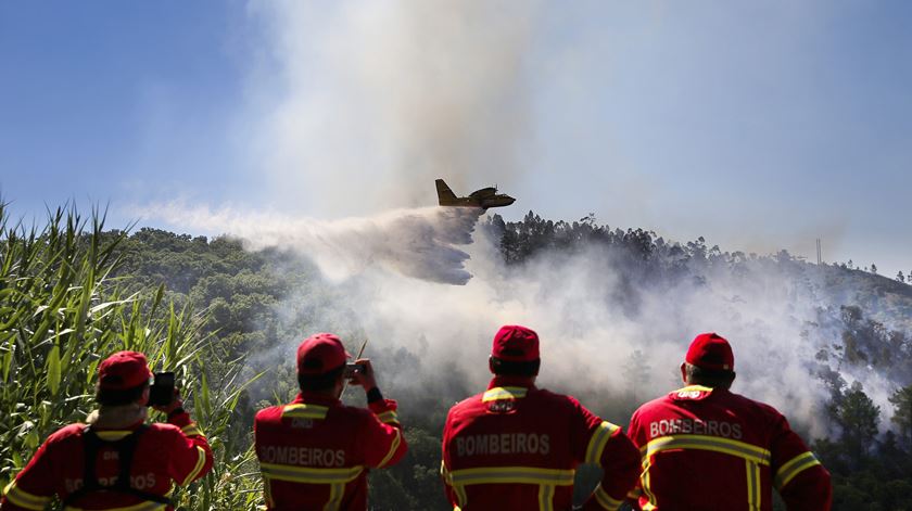 Imagens do combate a um fogo na Serra de Monchique em 2016. Foto: José Sena Goulão/Lusa