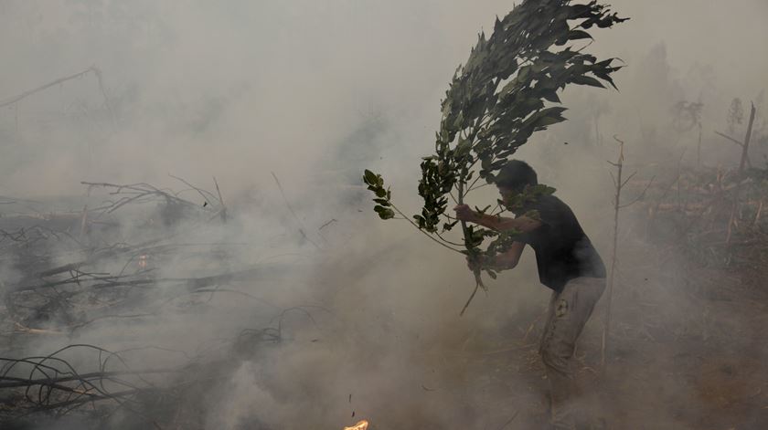 Populares combatem incêndio em Águeda, na quinta-feira. Foto: Paulo Cunha/Lusa