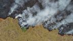 Crise climática mundial