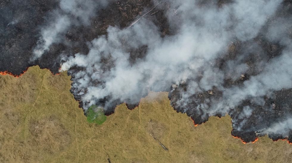 Crise climática mundial
