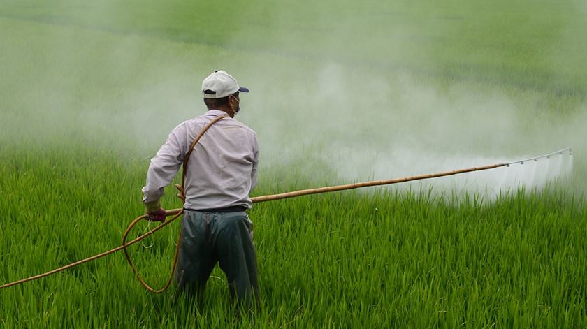 Quercus denuncia sabotagem da indústria dos pesticidas a estratégia "Do prado ao prato"