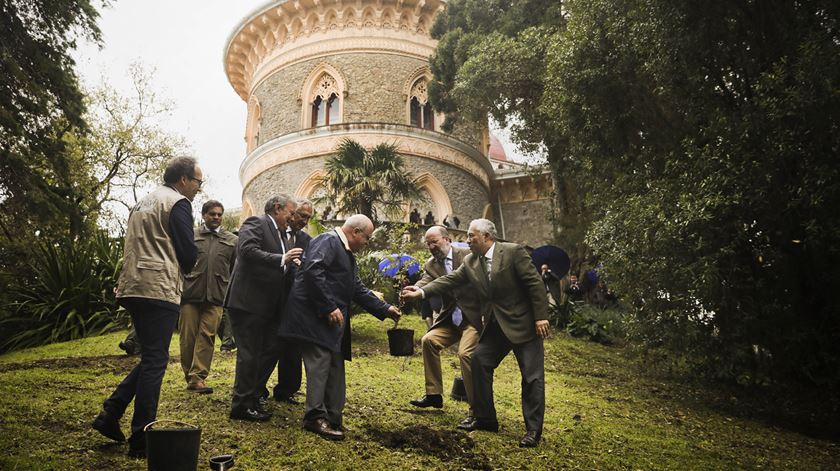 António Costa e Capoulas Santos plantam uma árvore em Sintra. Foto: Mário Cruz/Lusa