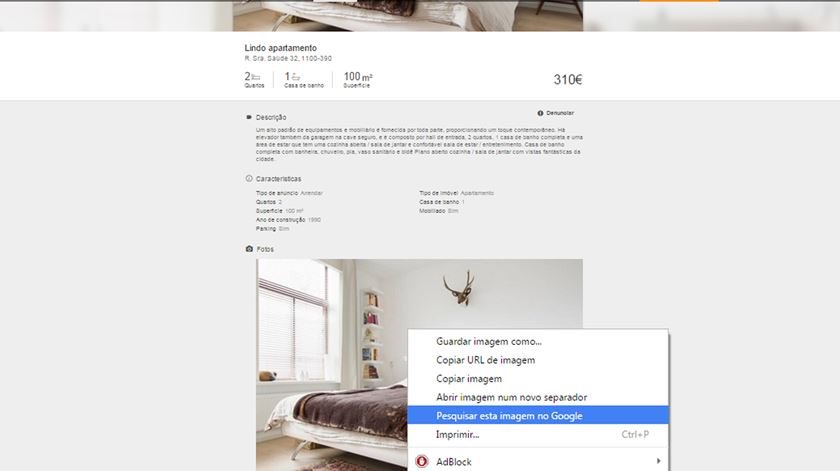 Este "lindo apartamento" no Martim Moniz está disponível para aluguer em Amesterdão, Holanda