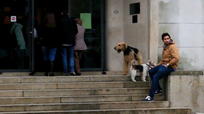 Pepe (cão mais pequeno) aguarda com um amigo do dono e outro cão.