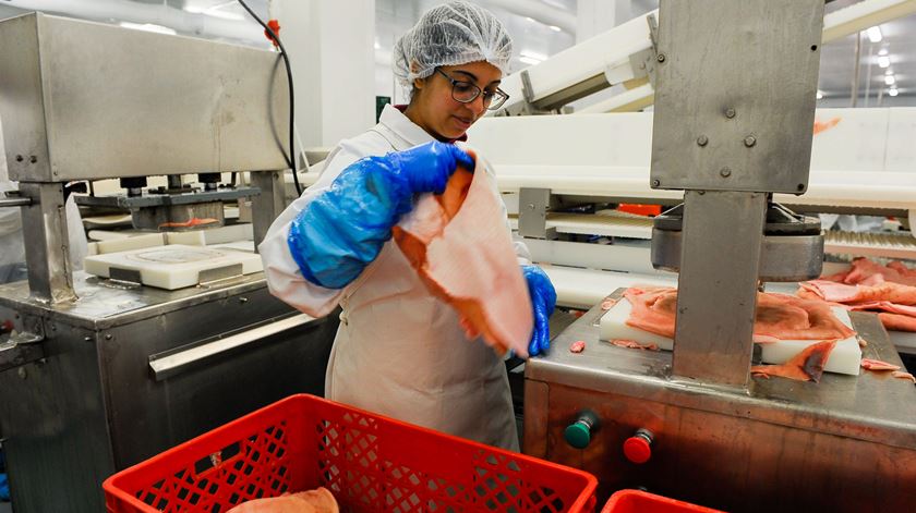 SINTAB defende que trabalhadores da indústria da carne deveriam ter sido protegidos. Foto de arquivo: Carlos Barroso/Lusa
