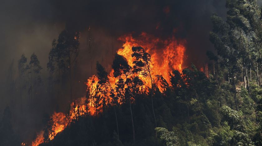 Suspeita-se de mão criminosa em vários dos incêndios que têm deflagrado no país nos últimos dias. Foto: Estela Silva/Lusa