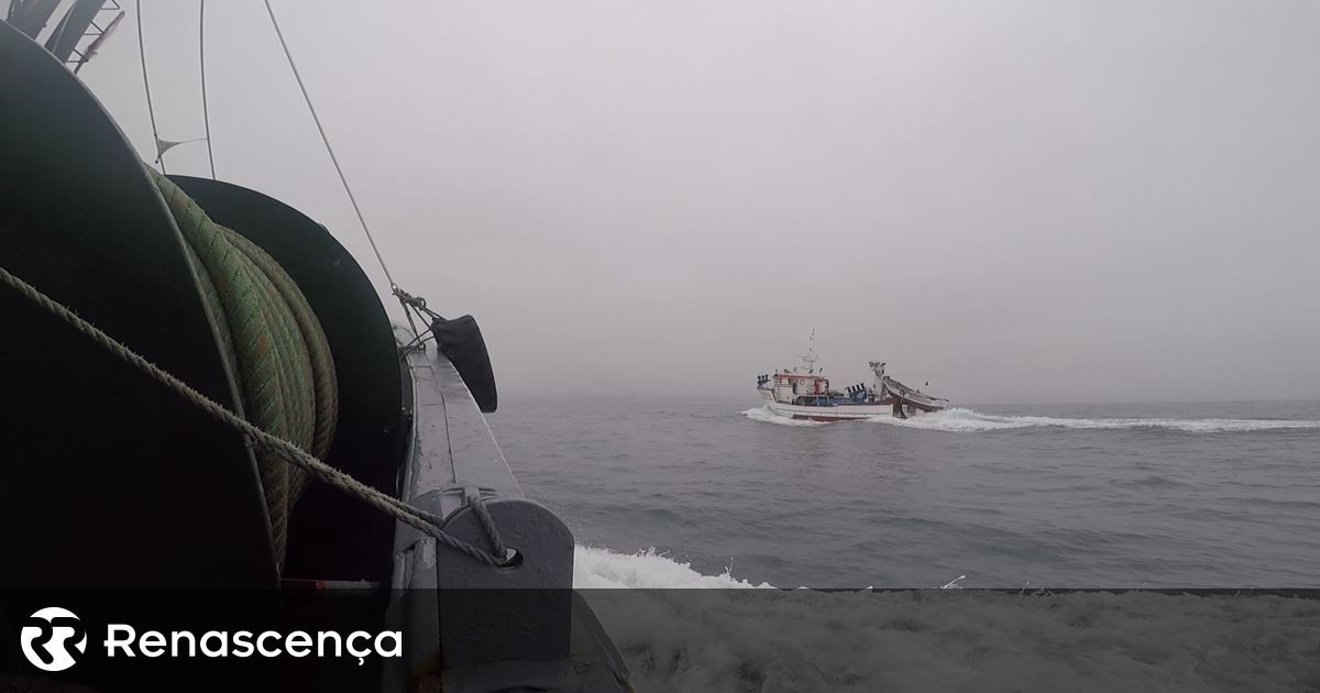 Açores. Presença de barcos de pesca chineses foi falso alerta