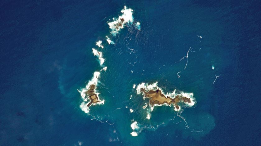 Ilhas Selvagens. Foto: Wikipedia