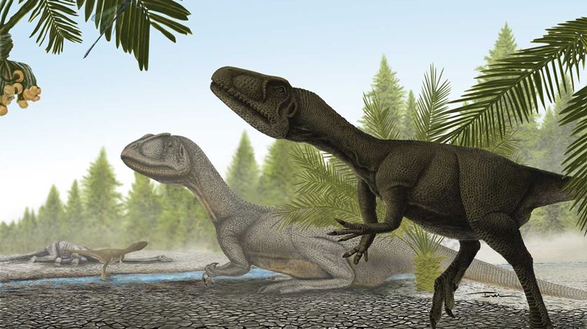 Reconstituição de indivíduos juvenis de dinossauros terópodes do género Allosaurus. Ilustração de Ivan Gromicho/SHN