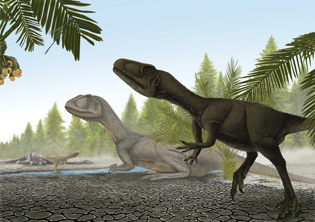 Espinossauro vs. Tiranossauro, Canções de Dinossauro