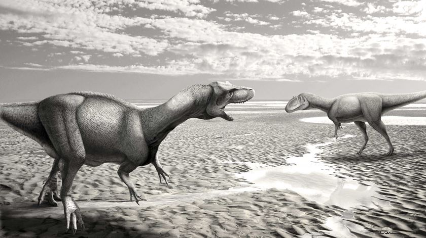 Reconstituição de Allosaurus num ambiente caracteristico do final do Jurássico na região Oeste de Portugal. Ilustração: Ivan Gromicho/SHN