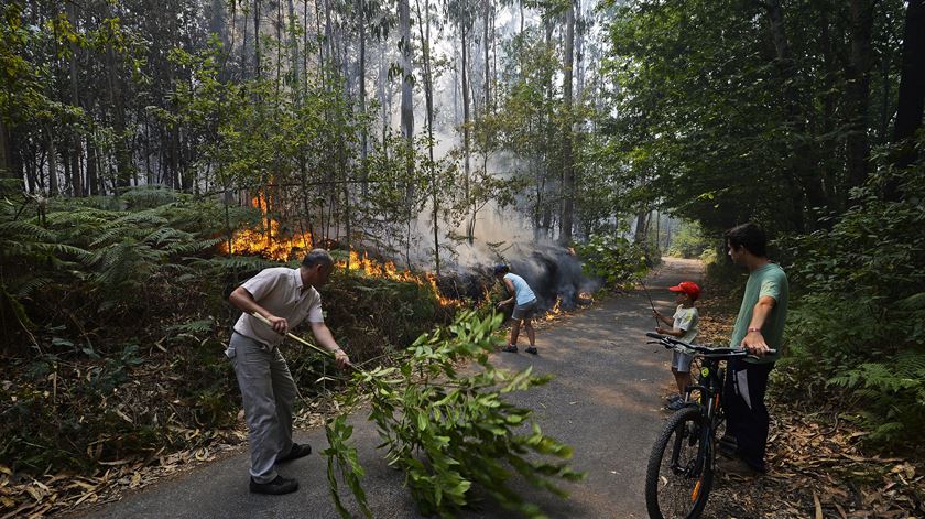Populares ajudam a combater as chamas em Arouca. Foto: Octávio Inácio/Lusa