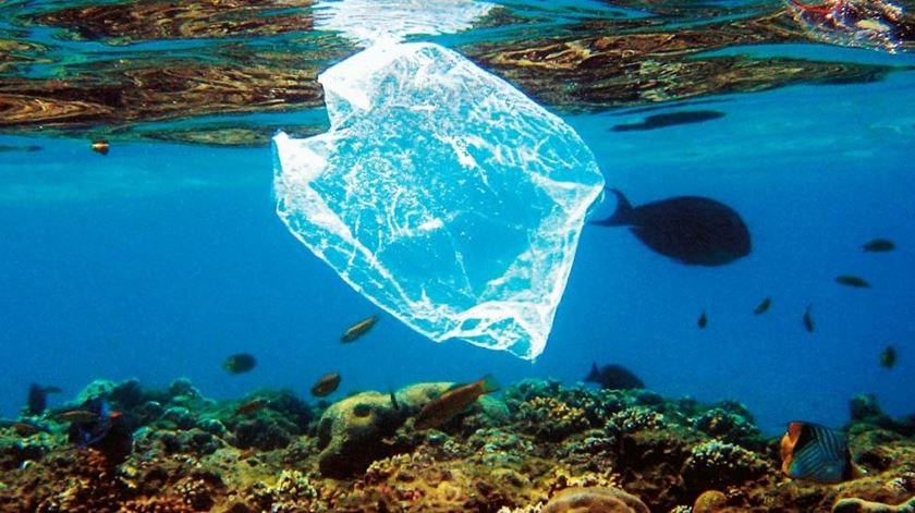 O plástico é um dos principais poluentes nos oceanos. Foto. DR