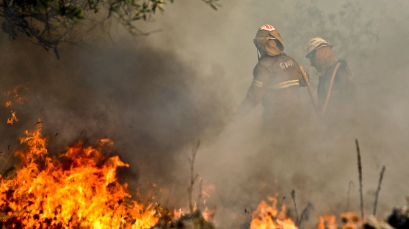 O Governo adiou o fim do período crítico de incêndios para 15 de Outubro. Foto: Paulo Novais/Lusa
