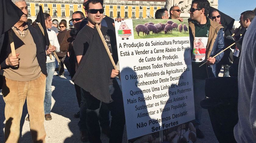 Os suinicultores queixam-se de que a carne de porco é vendida abaixo do preço de custo e pedem ajuda ao Governo. Foto: RR