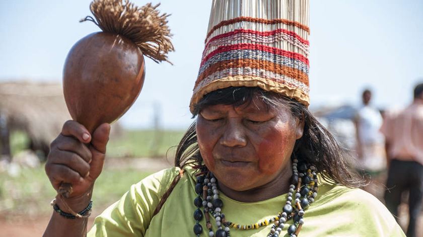 Guaranis na lista de tribos perseguidas. Foto: Fiona Watson/Survival