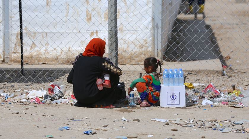 Sobreviver em Mossul. Foto: Organização Internacional para as Migrações