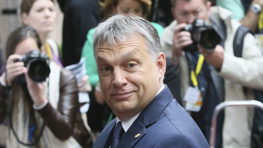 "Pensei que se Orbán continuasse na política, acabaria por se tornar perigoso", diz Kim Lane Scheppele. Foto: Olivier Hoslet/EPA